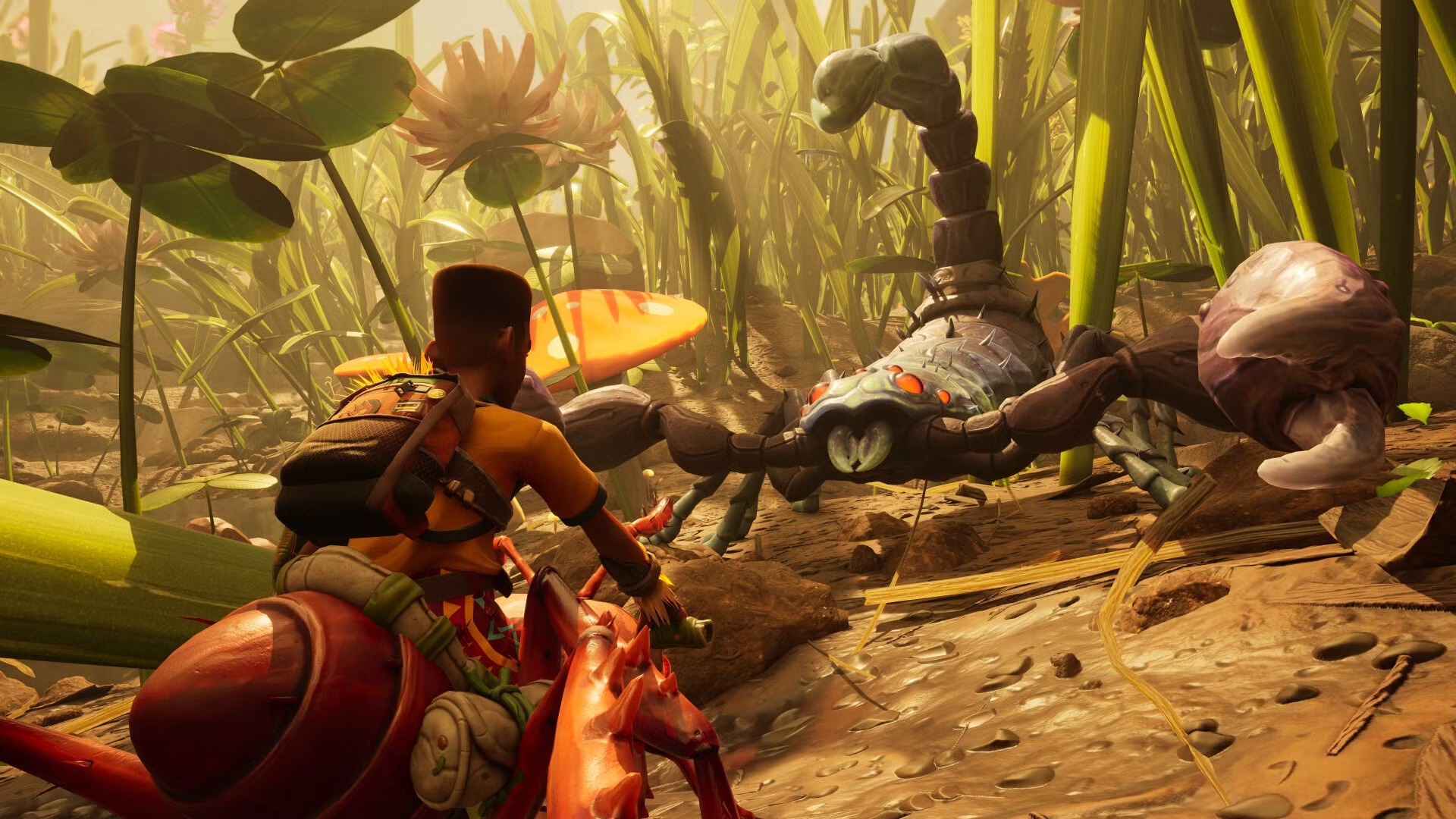 Grounded Highly Compressed